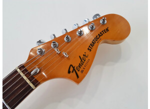 Fender Stratocaster Hardtail [1973-1983] (45935)