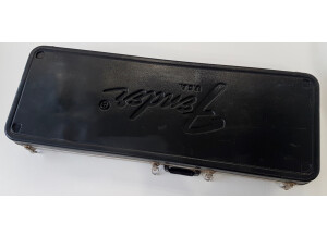 Fender Stratocaster Hardtail [1973-1983] (13760)