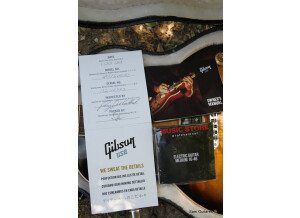 Gibson Les Paul Classic Plus 2011 '60s Slim Taper Neck (61129)