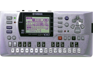 Yamaha QY100 (5190)