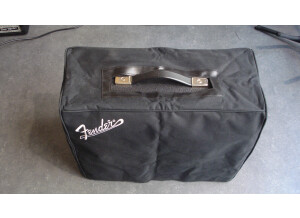 Fender '65 Princeton Reverb [2008-Current] (57917)