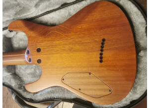 Mayones Setius GTM 7 (19993)