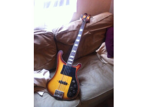 Jolana D-Bass