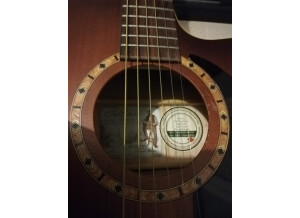 Art & Lutherie CW Spruce Quantum 1 (58472)