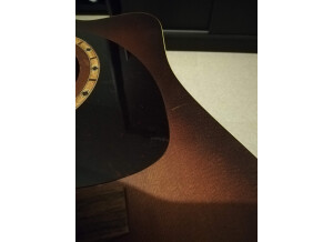 Art & Lutherie CW Spruce Quantum 1 (4382)