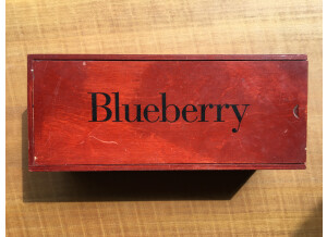 Blue Microphones Blueberry (31661)