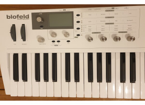 Waldorf Blofeld Keyboard (49886)