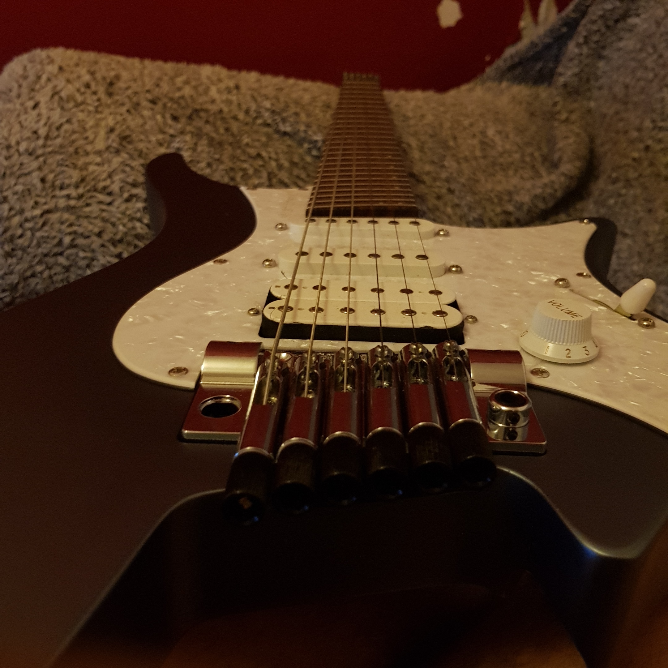 Strandberg Boden Classic