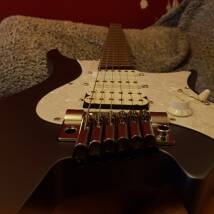 Strandberg Boden Classic
