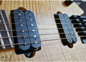 Seymour Duncan Pegasus (73427)