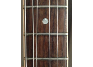 Gibson ES-339 30/60 Slender Neck (94355)