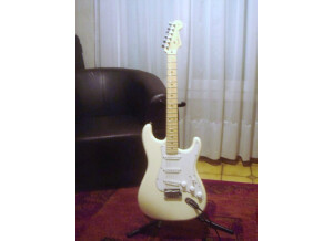 Fender Stratocaster (43142)