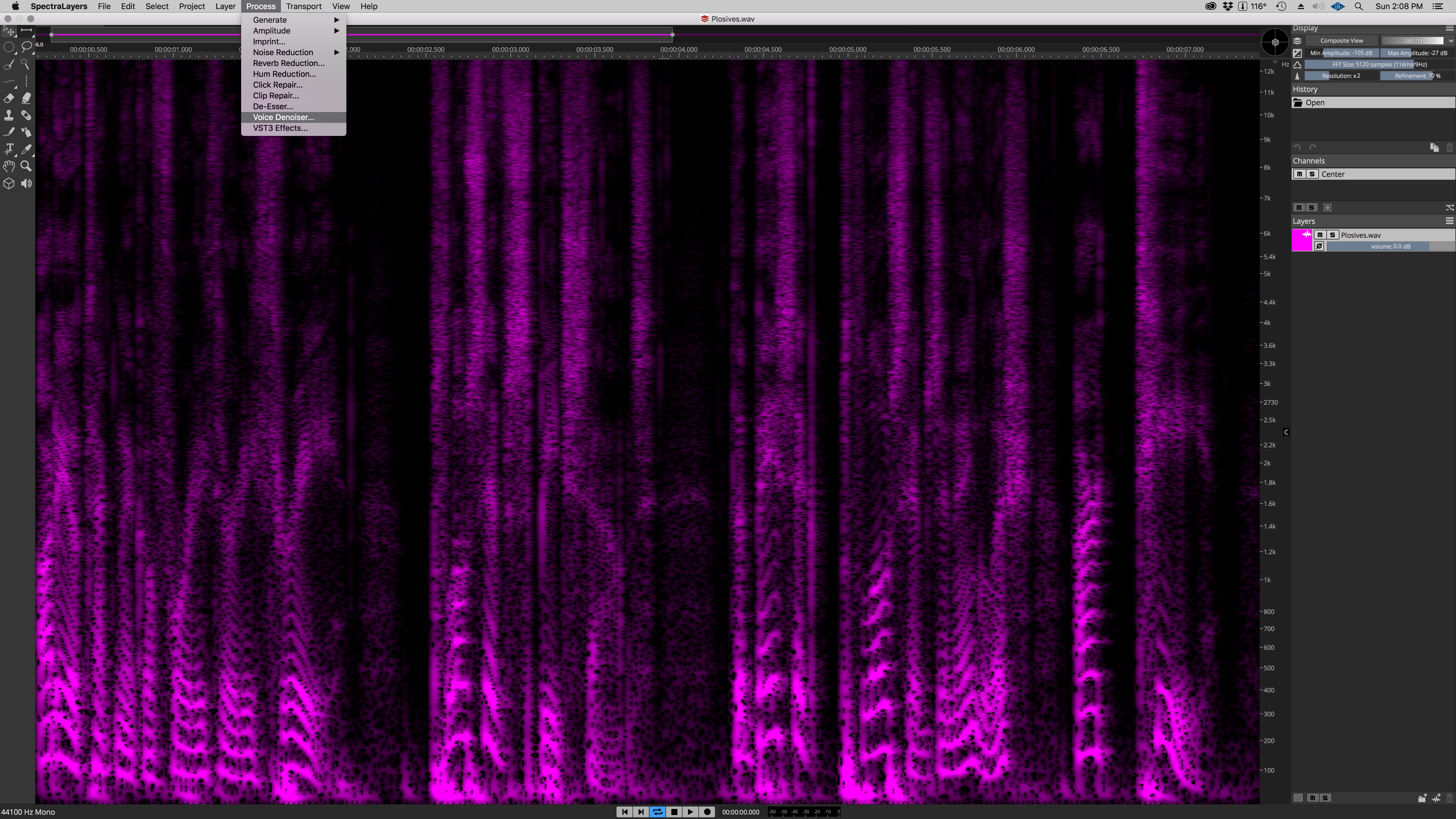 Steinberg SpectraLayers Pro 7 : Voice Denoiser