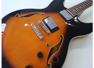 Ibanez AS73 (95504)