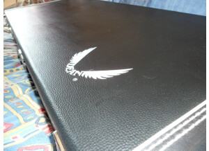 Dean Guitars Eric Peterson Signature Old Skull V