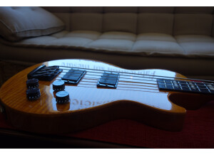 Gibson Les Paul Bass Premium LPB-2 (27535)