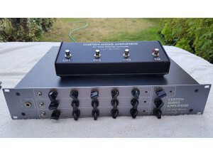 Custom Audio Electronics 3+ (66375)