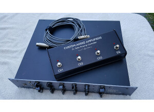 Custom Audio Electronics 3+