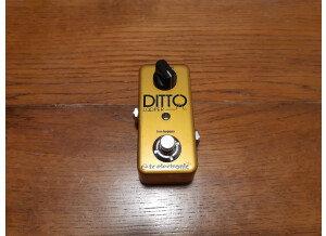 TC Electronic Ditto Looper Gold (2148)