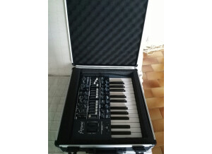 Arturia MiniBrute (3462)