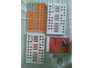 Arturia MiniBrute (95889)