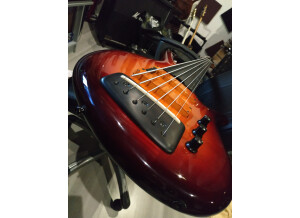 F Bass BN6 (78974)