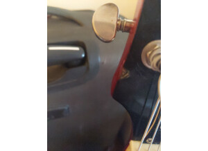 15971697873802038167666651191775