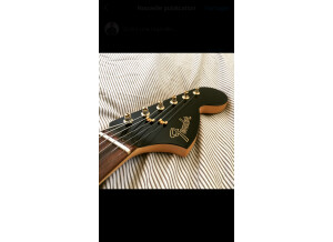 Fender Limited Edition Mahogany Blacktop Stratocaster