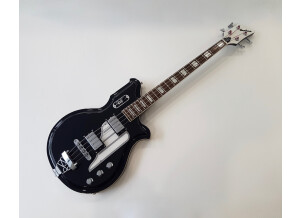 Airline Map Bass (98121)