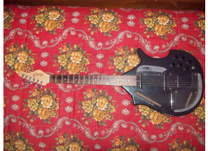 Jerry Jones master sitar (13917)