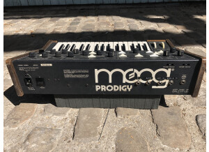 Moog Music Prodigy (9489)