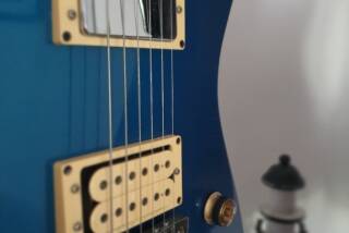 Ibanez IC50
