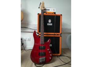 Orange Terror Bass + OBC112 + Vigier Excess