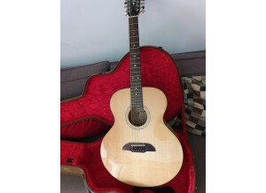 Framus FJ 14 Solid A Sitka Spruce Top with maple sides (29255)