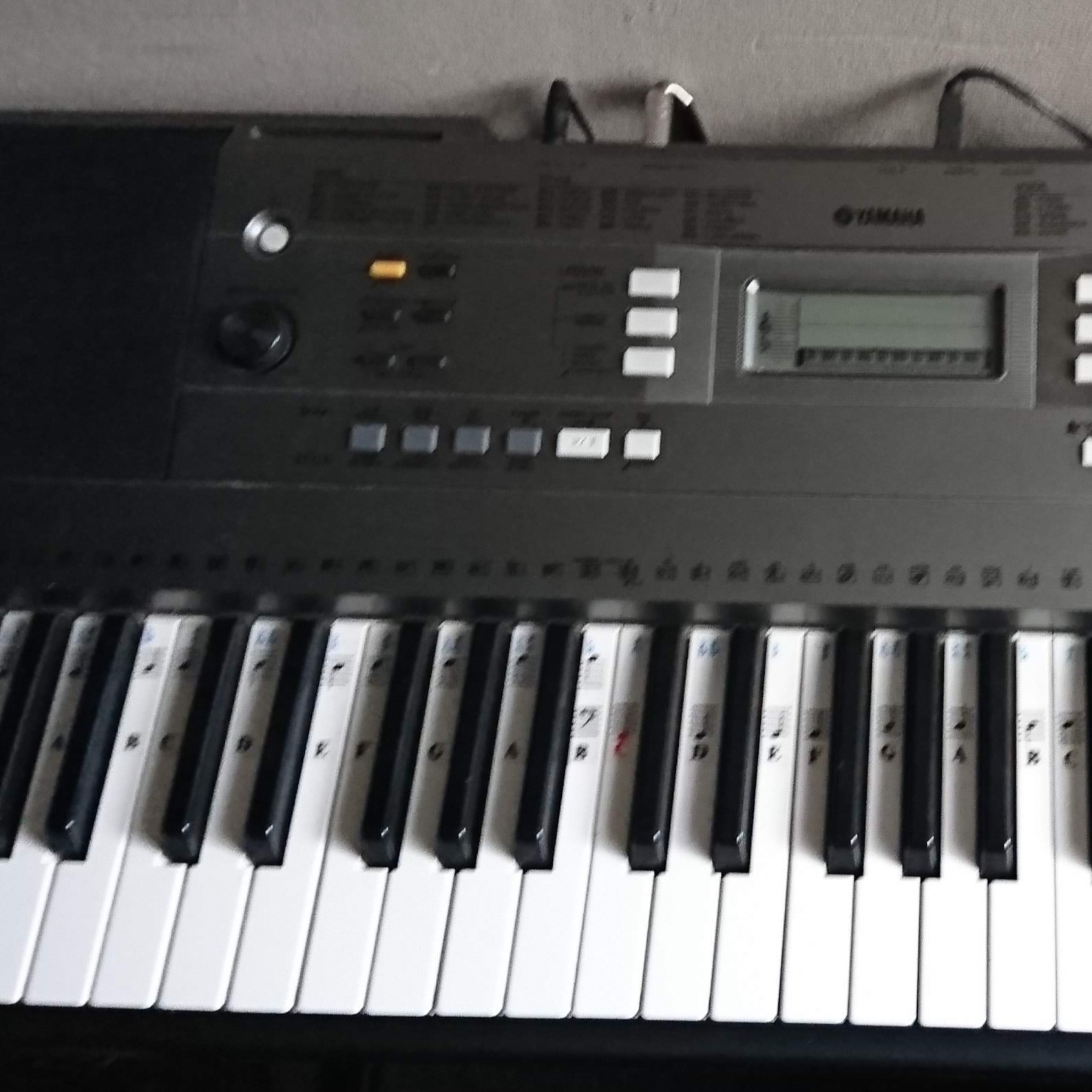 Pictures and images Yamaha PSR-E353 - Audiofanzine