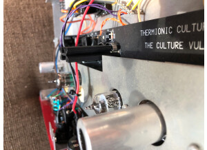 Thermionic Culture Culture Vulture Anniversary Limited Edition (72278)