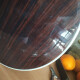 LTD2001 Dolphin LTD2001 Dolphin