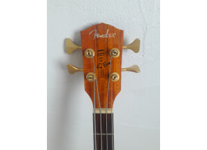 Fender Victor Bailey Acoustic Bass (7440)