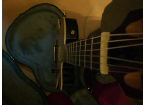 Yamaha AEX 500 N2