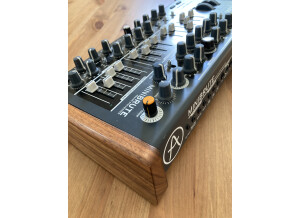 Arturia MiniBrute (70967)