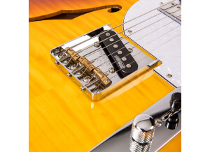 Vintage V72 Custom Spec TL (36242)