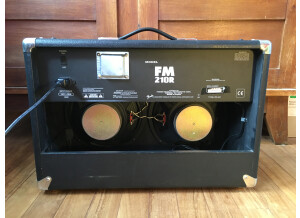 Fender FM 210R