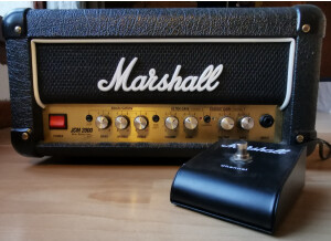 Marshall 1990s DSL1H