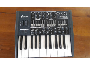 Arturia MiniBrute (62215)