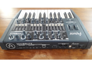 Arturia MiniBrute (43074)