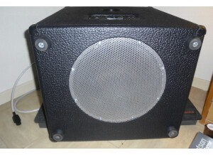 Mesa Boogie Scout Bass Radiator 1x15 (61100)