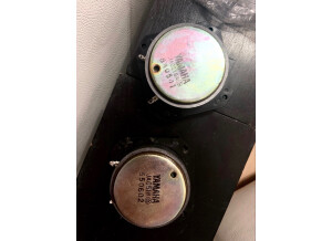 Yamaha NS-10M Studio (89235)