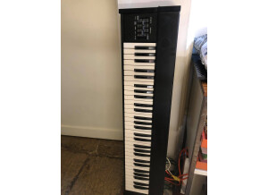 Crumar Compac-Piano (38405)