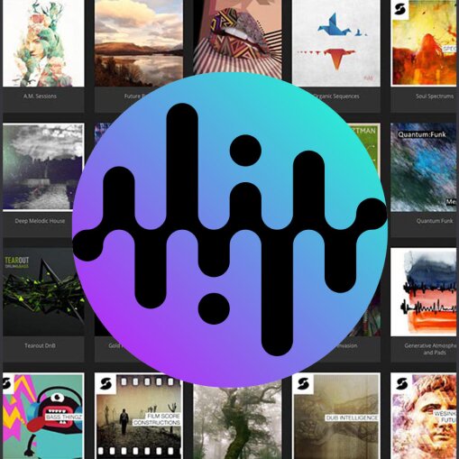 noiiz-grid-1 noiiz-grid-1