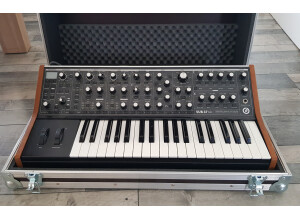 Moog Music SUB 37 (34916)